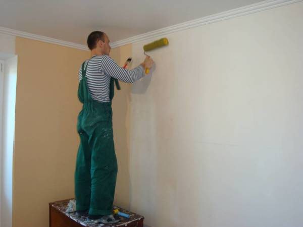 Покраска стен: выбор краски, виды составов, материалы и инструмент, подготовка стены и нанесение покрытия