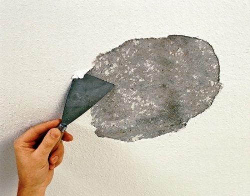 Покраска стен латексной краской: разнообразие составов, подготовка поверхности и малярные работы
