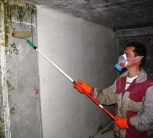Правильное нанесение грунтовки на стены: нужно ли разводить водой, каким валиком лучше грунтовать, нужно перед грунтовкой мыть стены