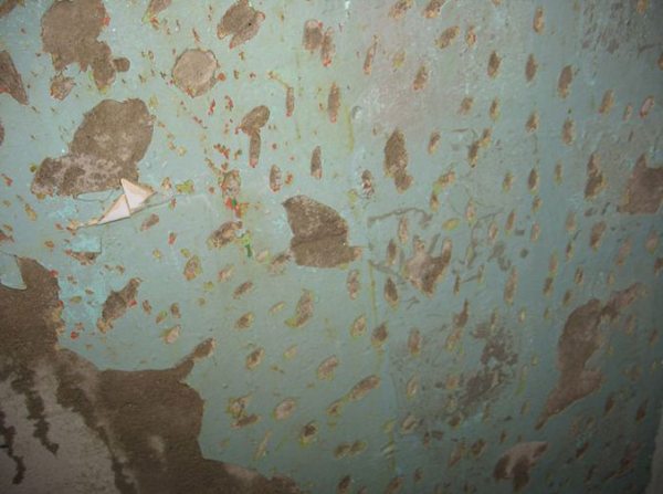 Чем и как можно убрать старую или свежую краску со стен в кухне, комнате и ванной: варианты механического удаления и химические средства для очистки нескольких слоев